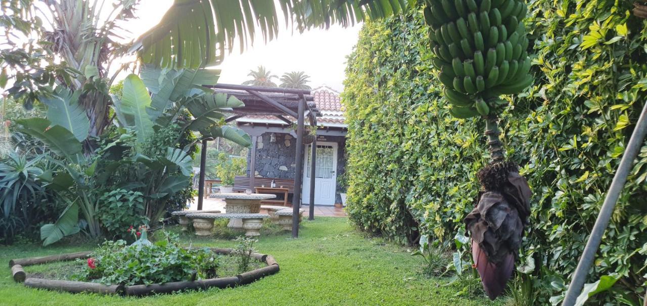 Maison d'hôtes La Sabana à Buenavista de Abajo Extérieur photo