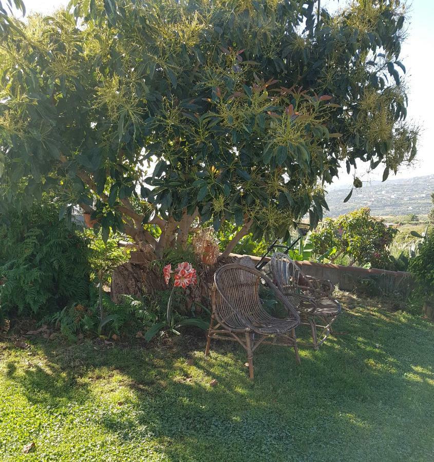 Maison d'hôtes La Sabana à Buenavista de Abajo Extérieur photo